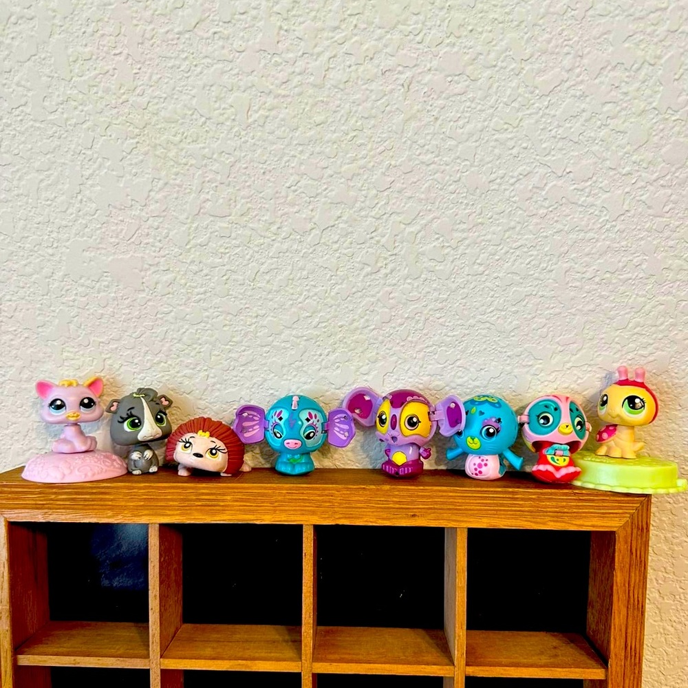 Pet shop and others